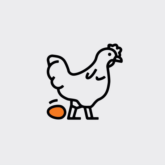 Innovatie? Bij Connect pikken de kippen dat op